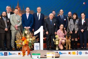 40. výroční TrioCACIB Prague Expo Dog za podpory Biovety